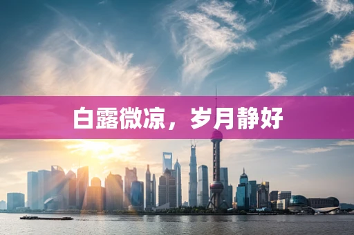 白露微凉，岁月静好