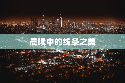 晨曦中的线条之美