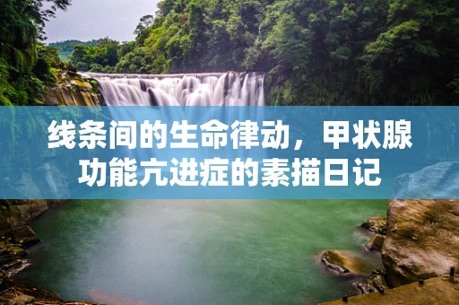 线条间的生命律动，甲状腺功能亢进症的素描日记
