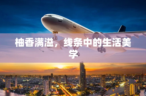 柚香满溢，线条中的生活美学