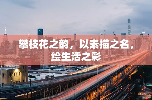 攀枝花之韵，以素描之名，绘生活之彩