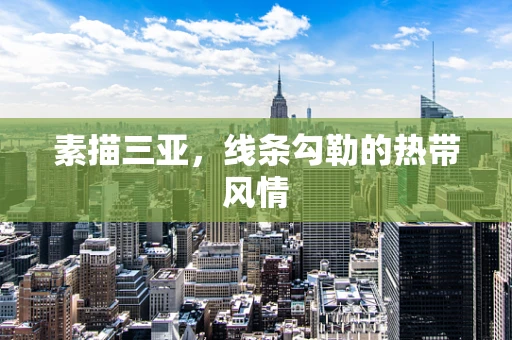 素描三亚，线条勾勒的热带风情
