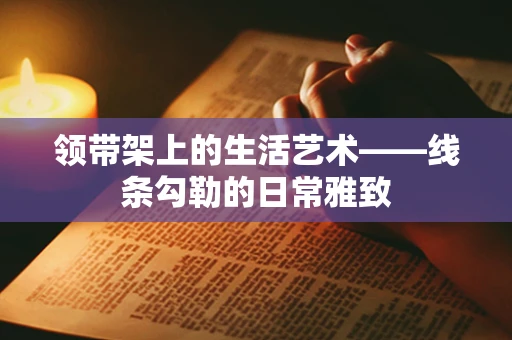 领带架上的生活艺术——线条勾勒的日常雅致