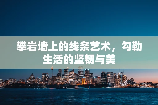 攀岩墙上的线条艺术，勾勒生活的坚韧与美