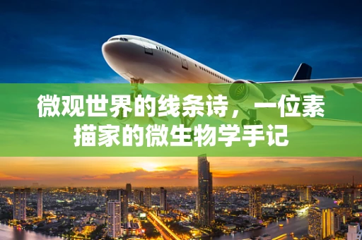 微观世界的线条诗，一位素描家的微生物学手记