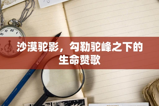 沙漠驼影，勾勒驼峰之下的生命赞歌