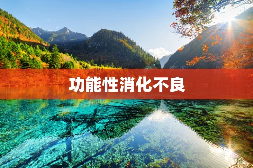 功能性消化不良
