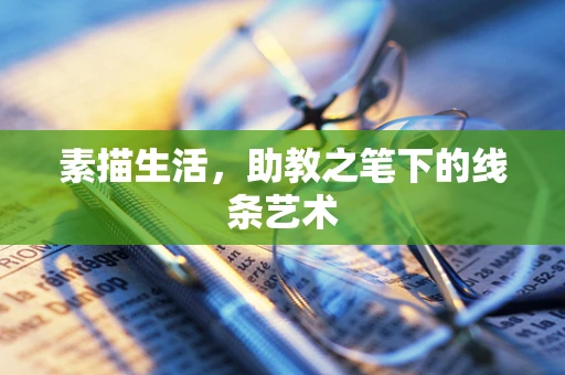 素描生活，助教之笔下的线条艺术