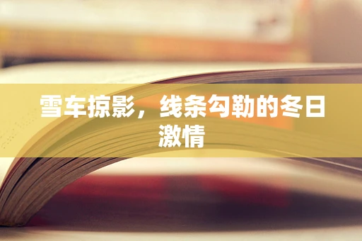 雪车掠影，线条勾勒的冬日激情