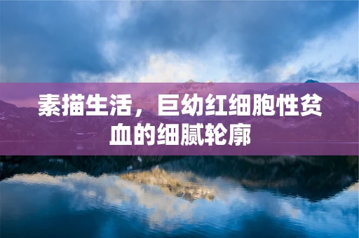 素描生活，巨幼红细胞性贫血的细腻轮廓