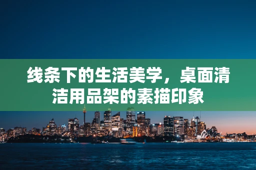 线条下的生活美学，桌面清洁用品架的素描印象