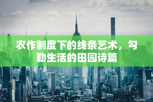 农作制度下的线条艺术，勾勒生活的田园诗篇