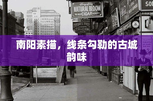 南阳素描，线条勾勒的古城韵味